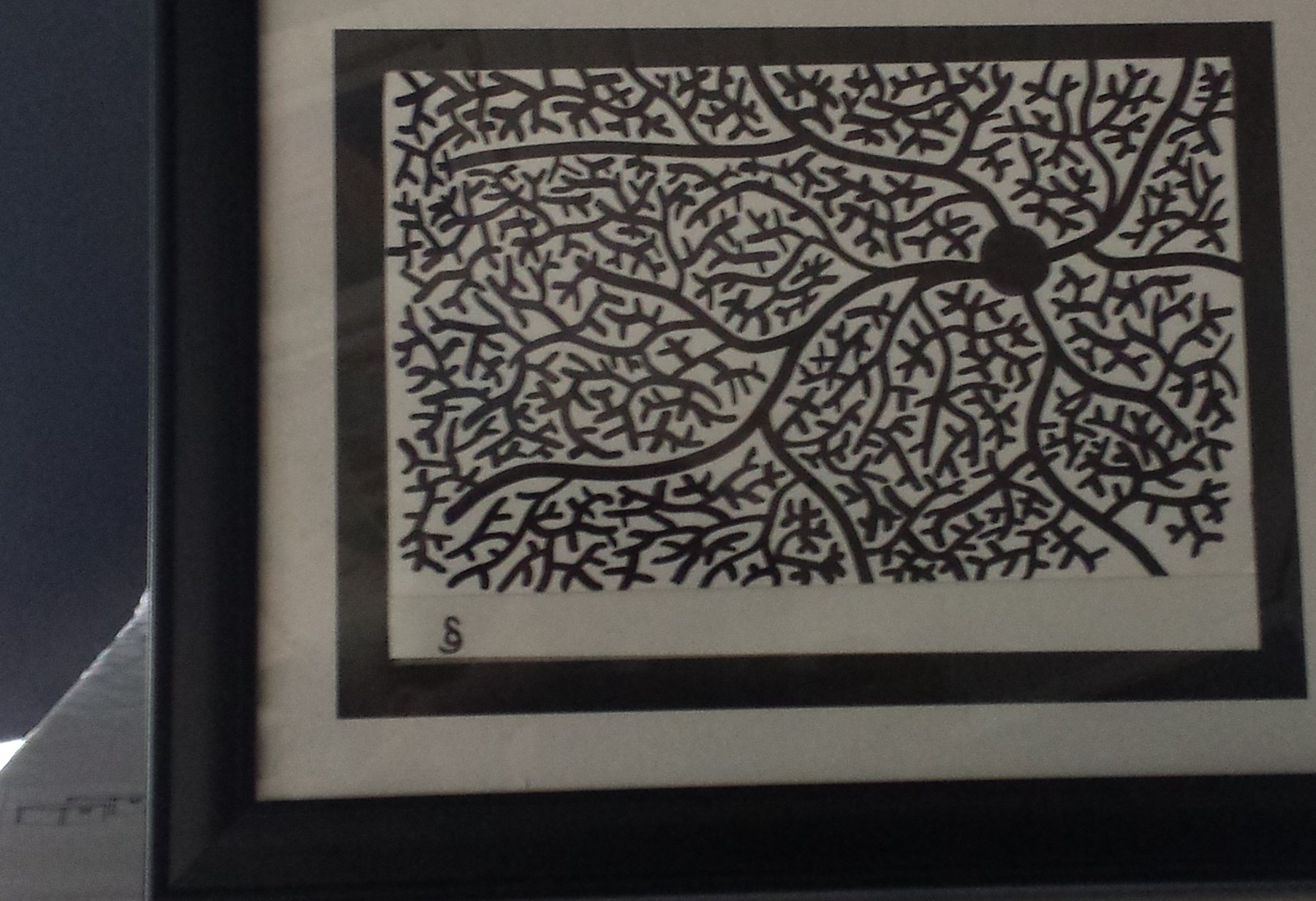 Wide Net, Framed, 2016