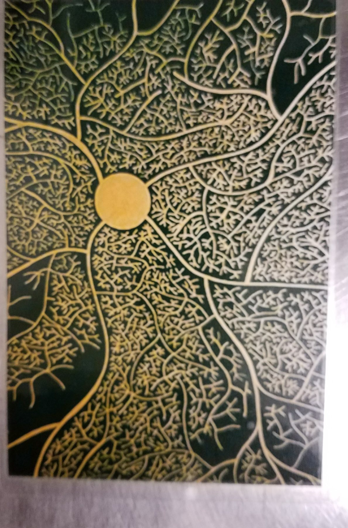 Untitled, 11 July 2017