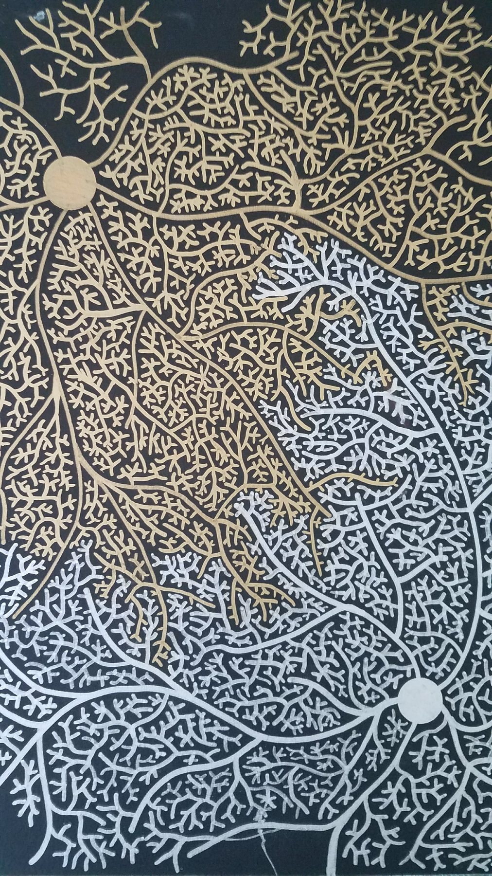 Untitled, 1 August 2017