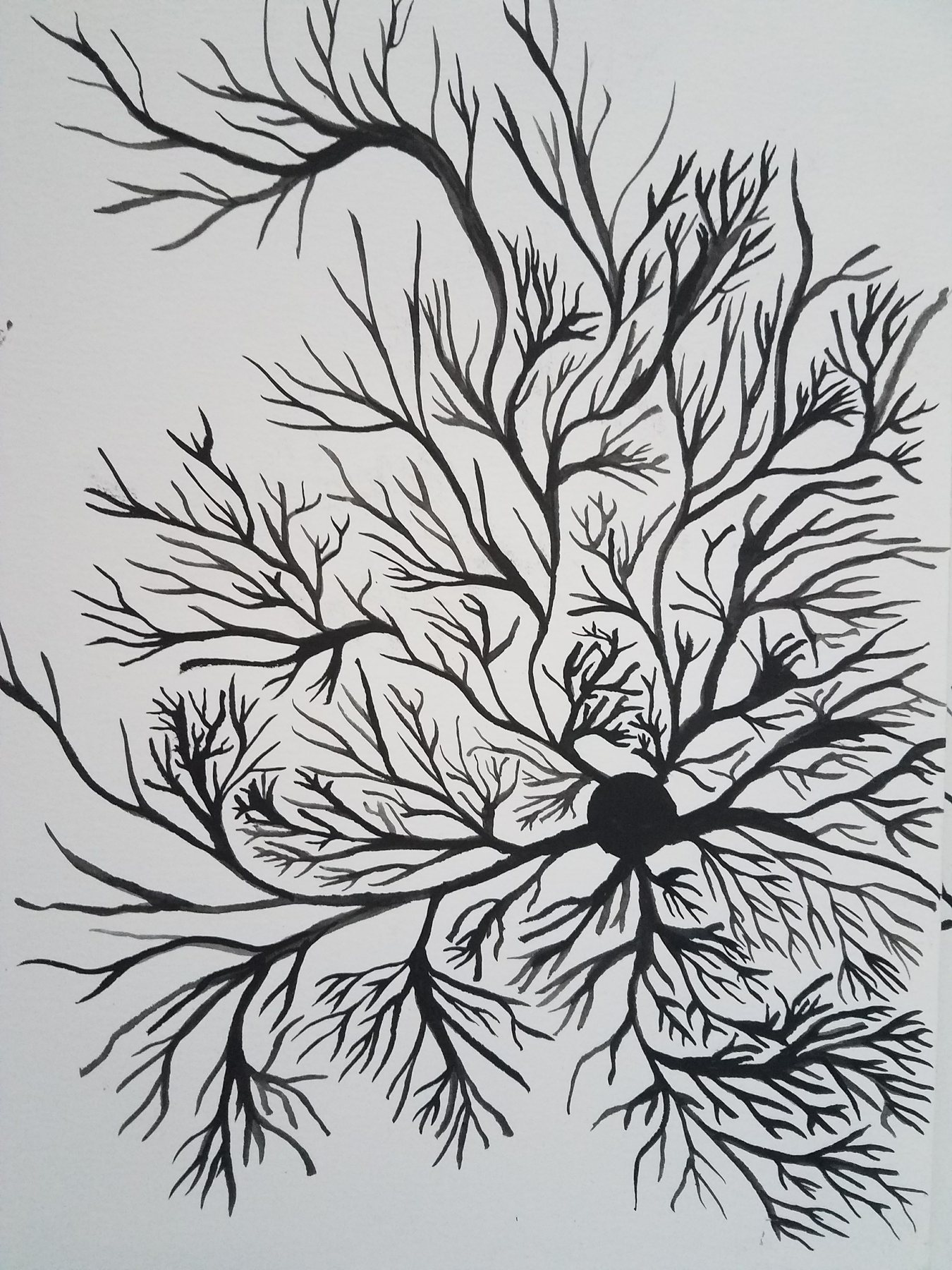 Untitled, 16 September 2017