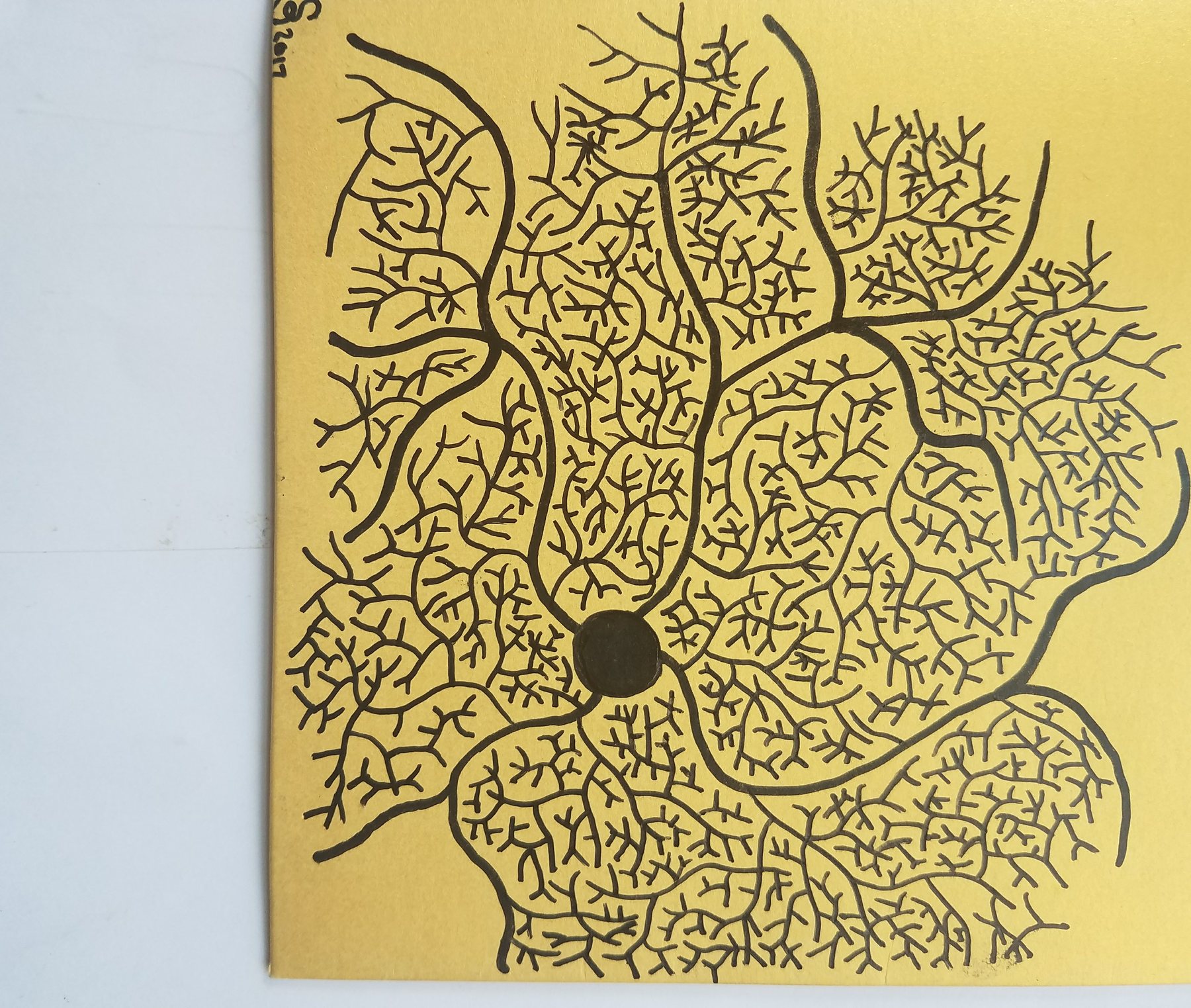 Untitled, 25 September 2017
