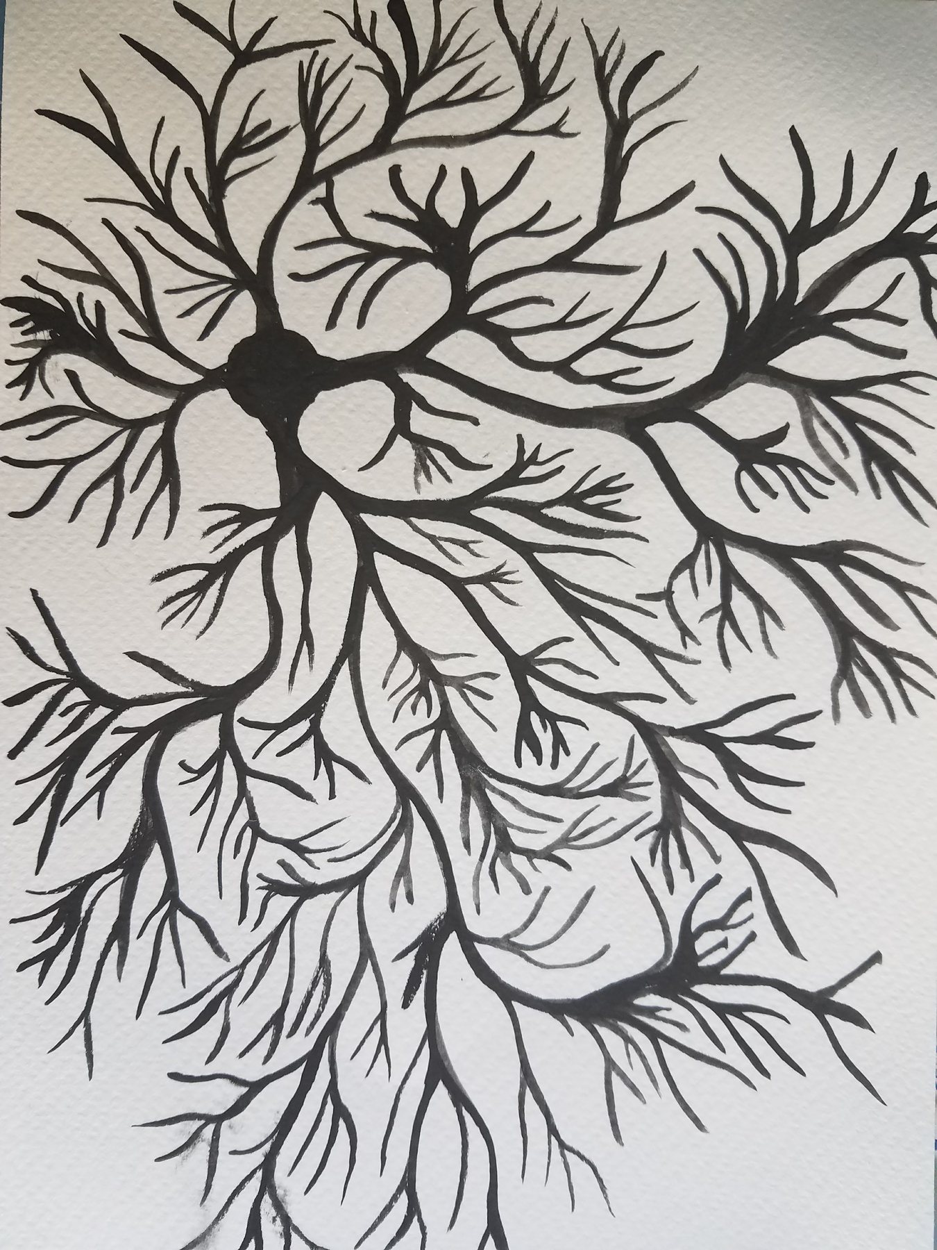 Untitled, 18 October 2017