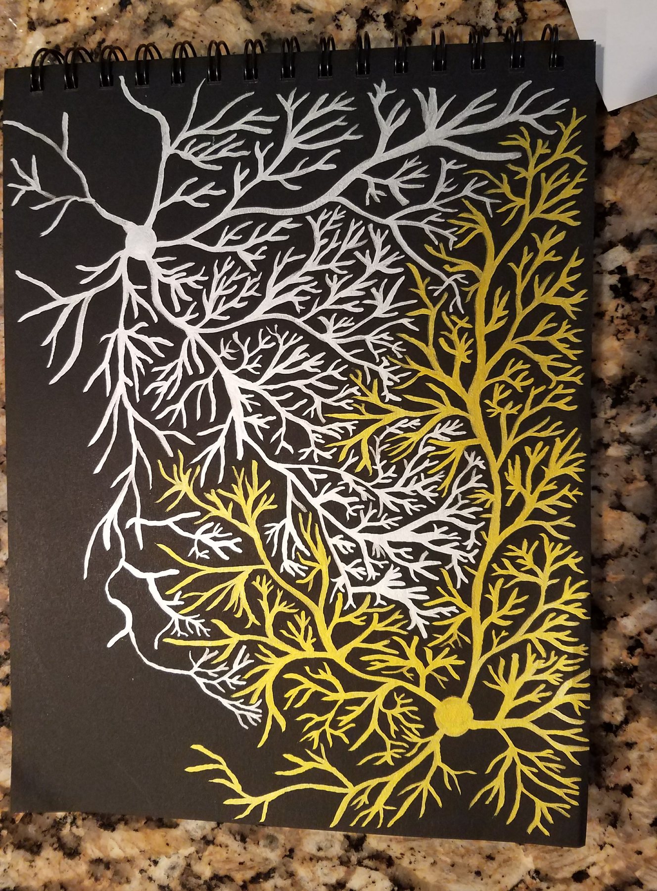 Untitled, 11 November 2017