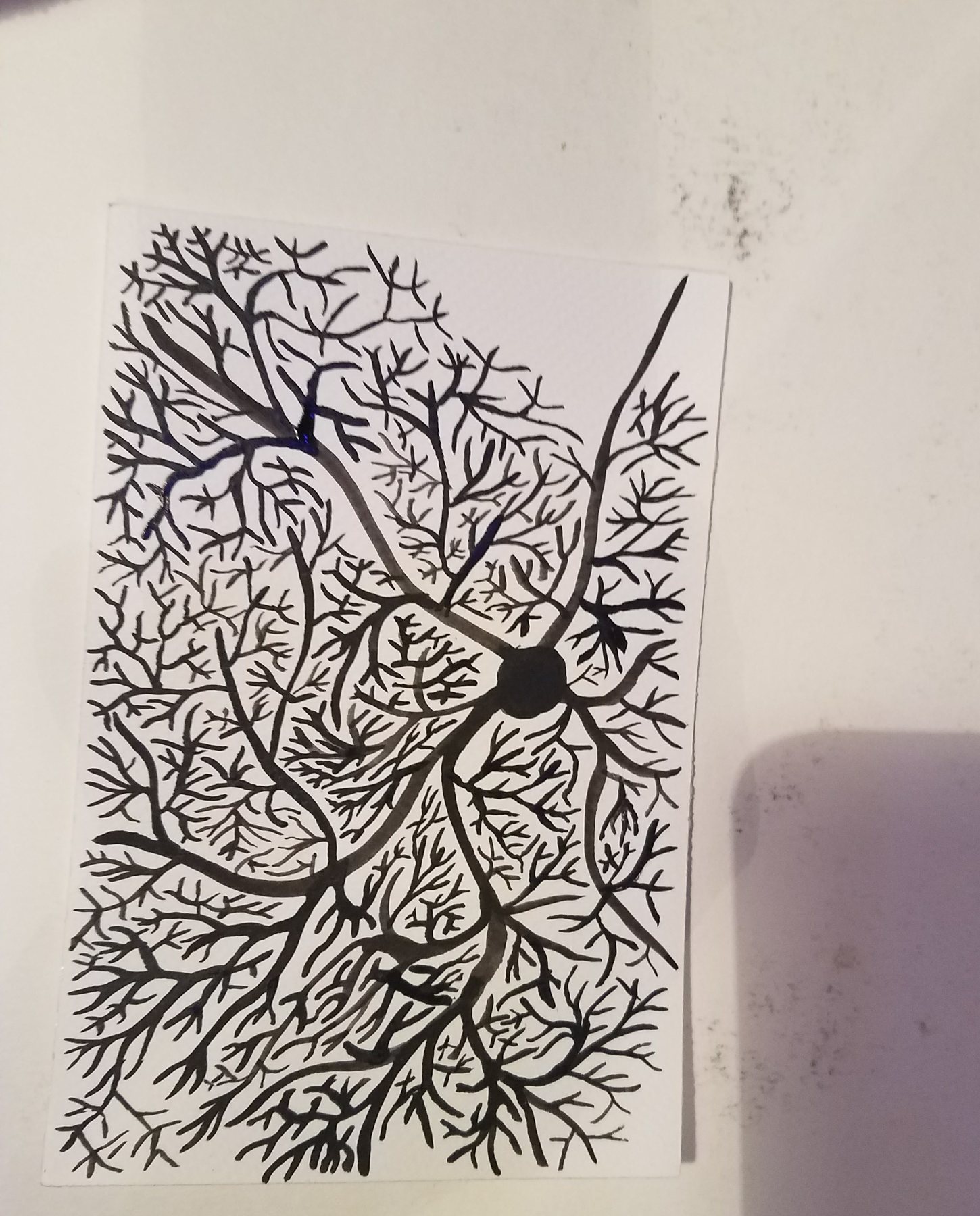 Untitled, 7 April 2018