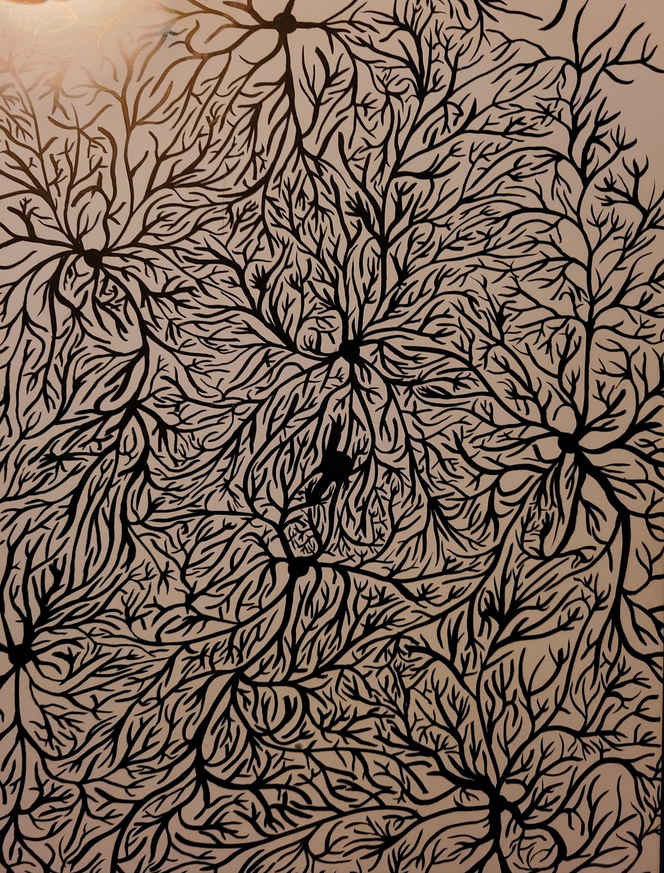Field of Neurons, 2020