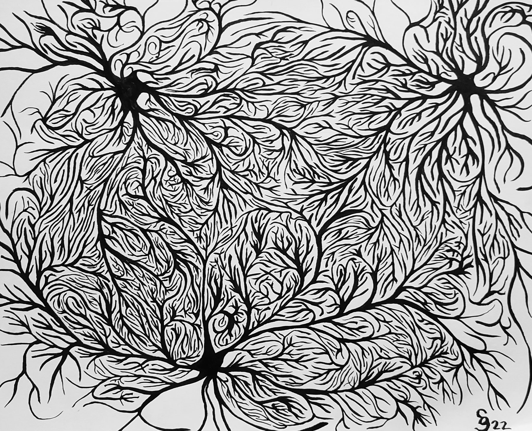 Untitled, 30 January 2022