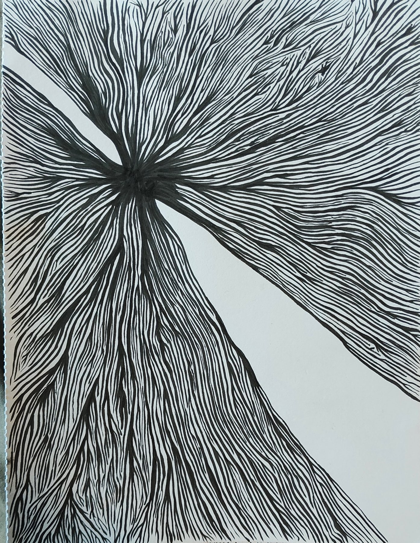 Untitled, 17 September 2023 (ii)