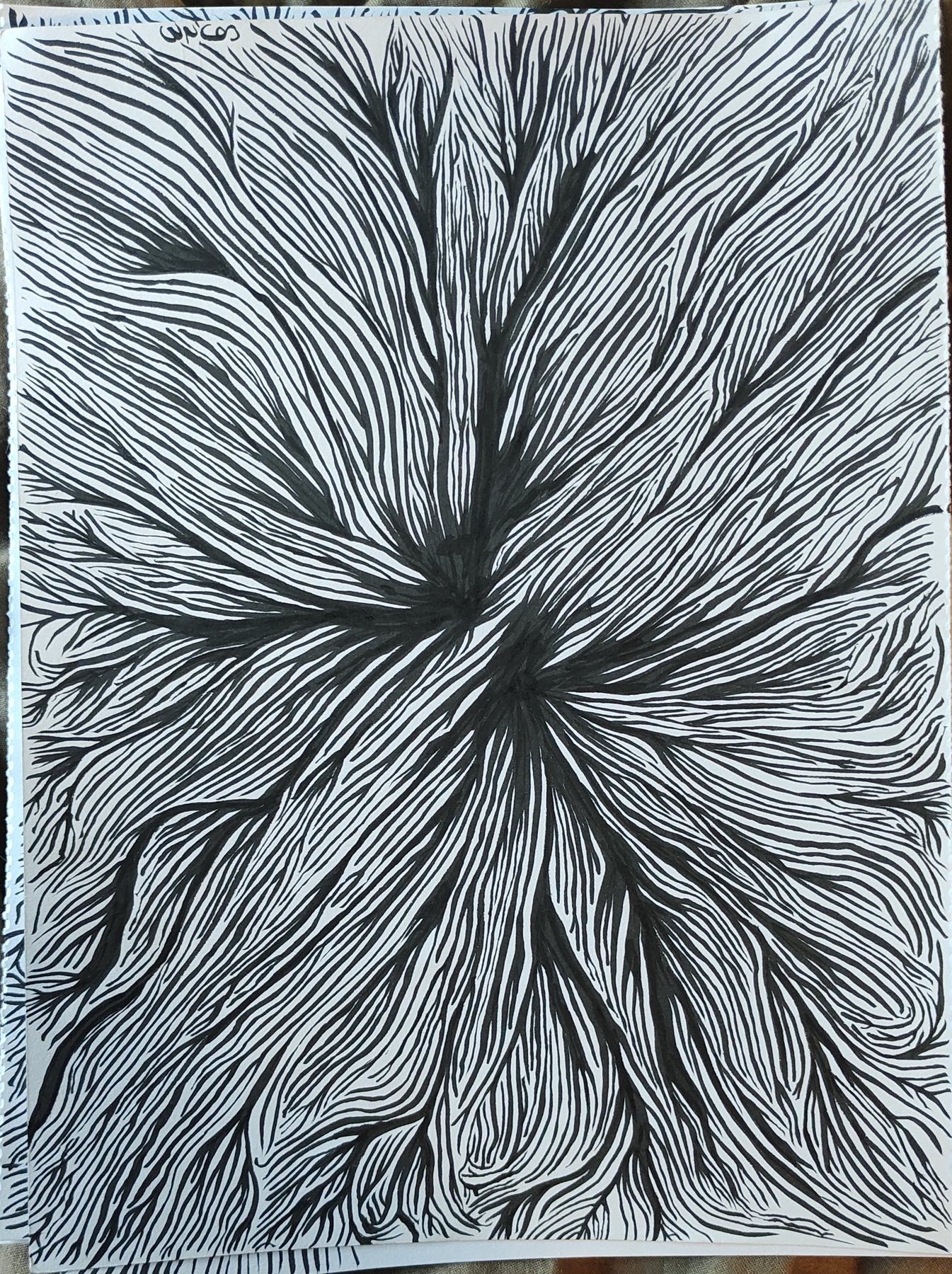 Untitled, 17 September 2023 (iv)