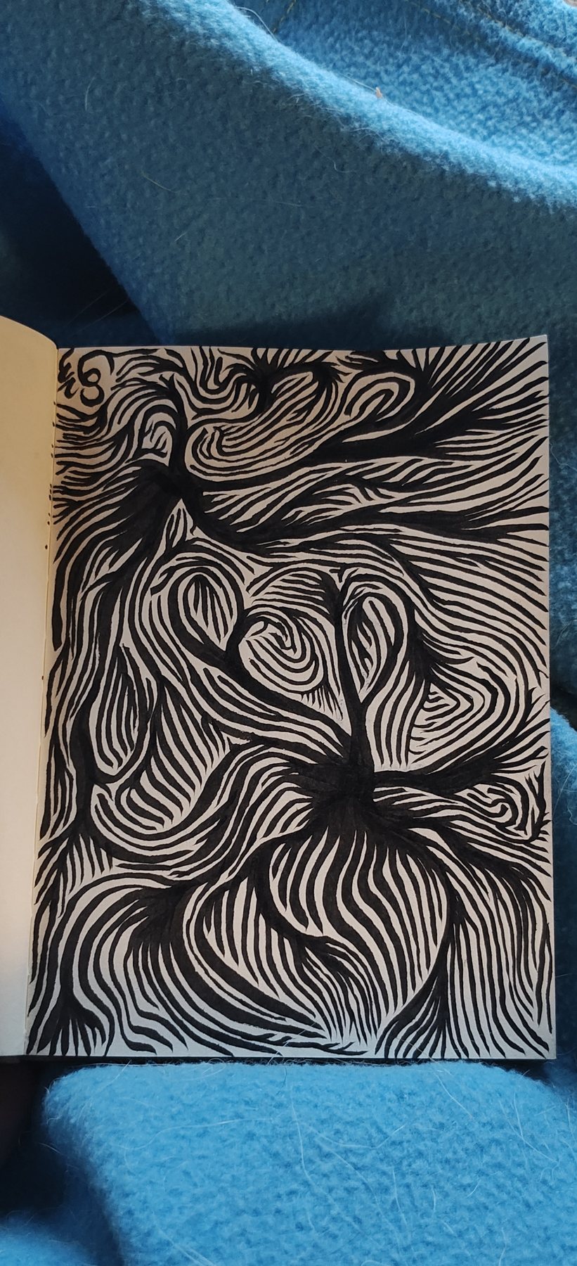 Untitled, 28 December 2023