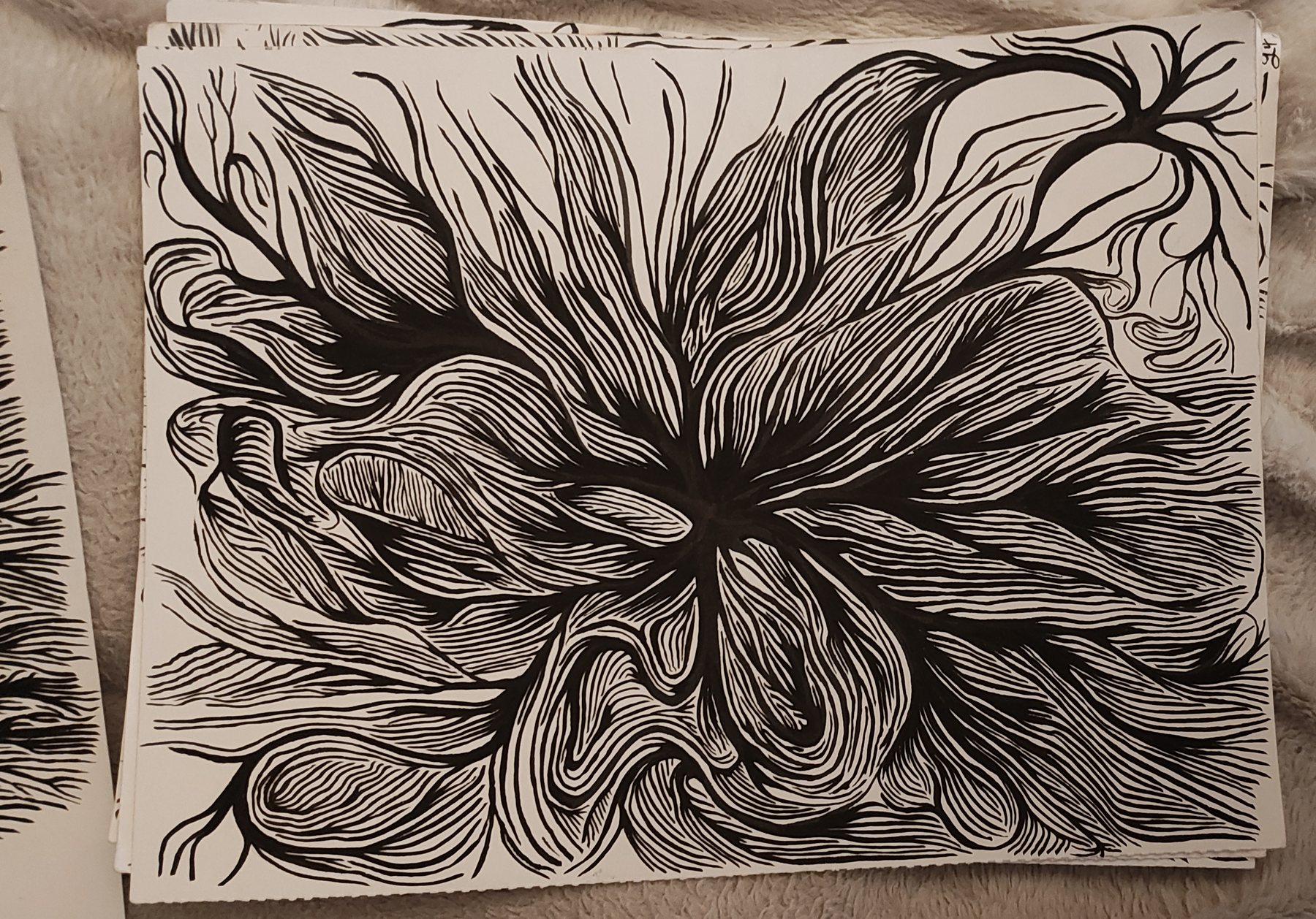 Untitled, 5 December 2024 (i)