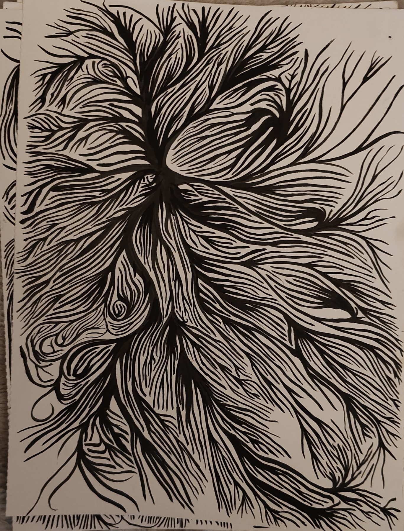 Untitled, 5 December 2024 (ii)