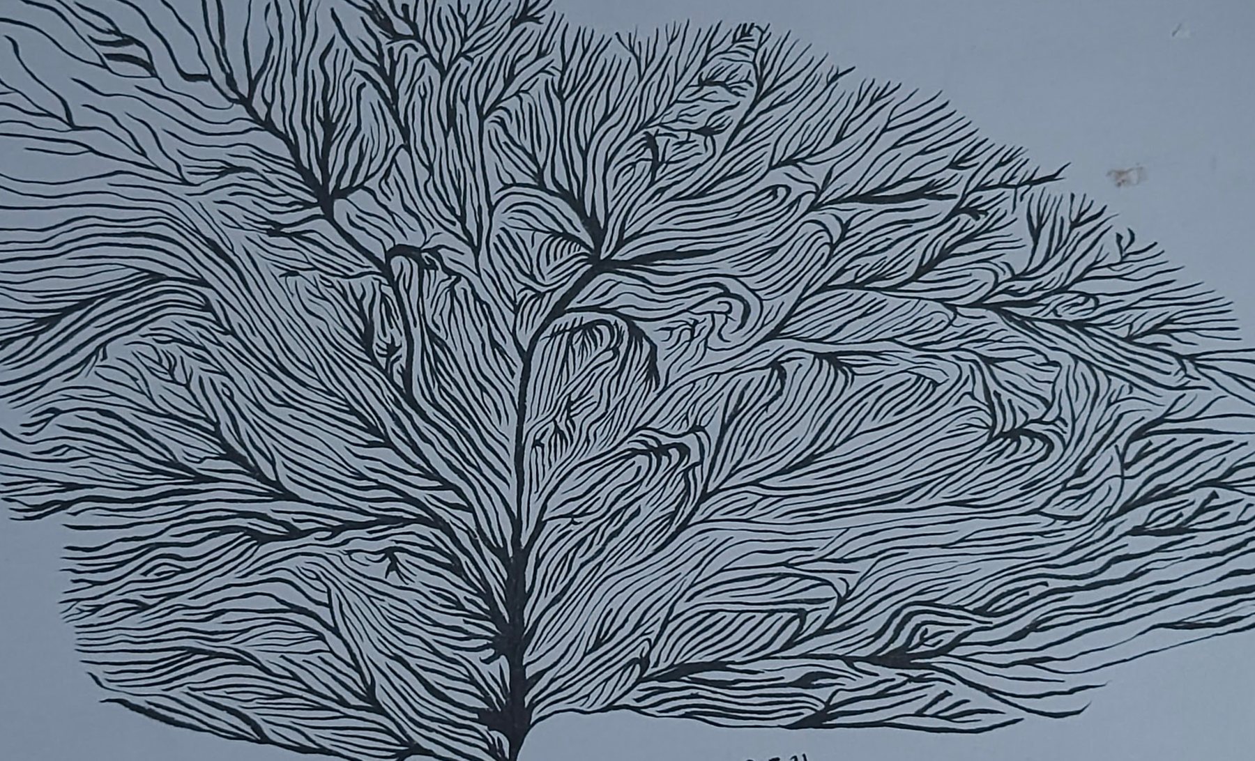 Untitled, 21 May 2025