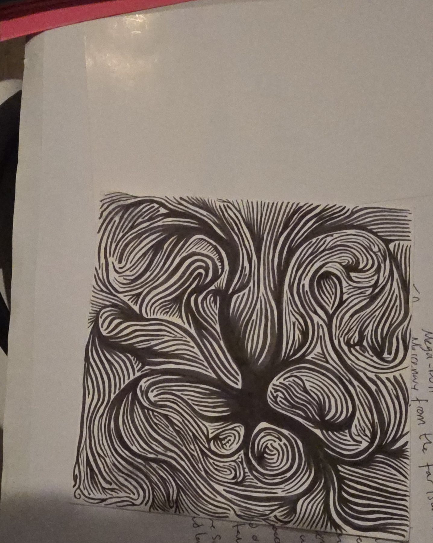 Untitled, 12 February 2026
